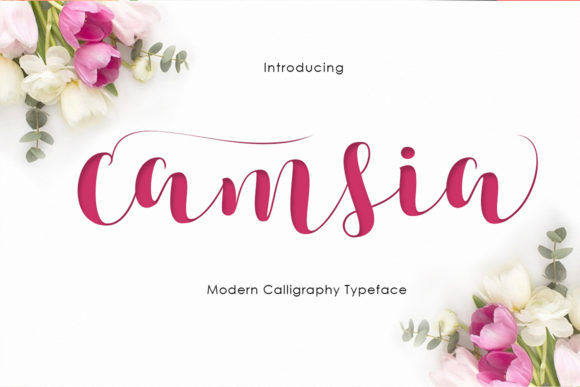 Camsia: A Flowing Handwritten Font