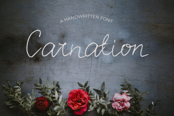 Carnation: A Versatile Script Font