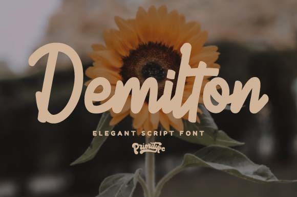Demilton: A Handwritten Font for Elegant Design