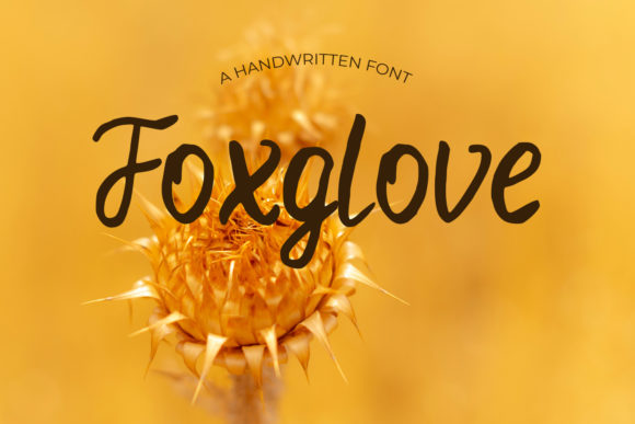 Foxglove: A Script Font for Elegant Design