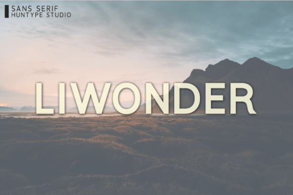 Liwonder: A Bold Sans Serif for Campaigns