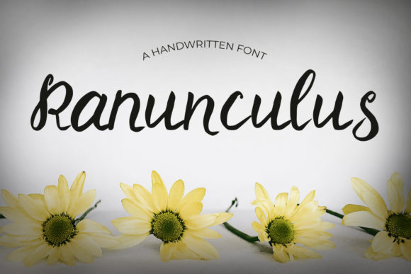 Ranunculus Font for Web Design