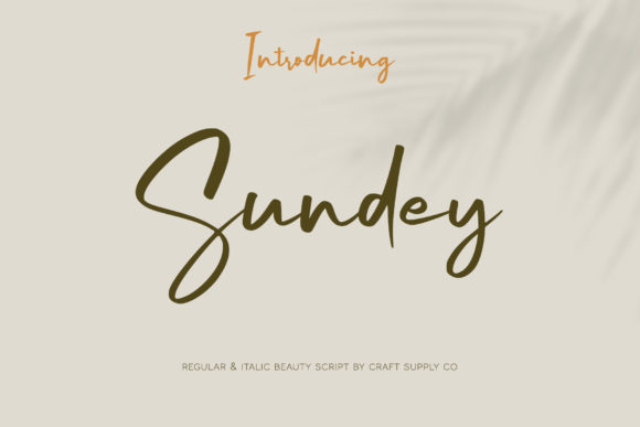 Sundey Font: Elegant Script for Web Design